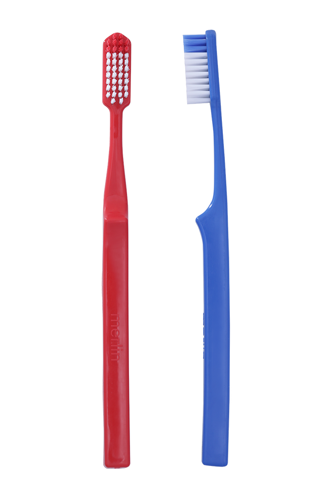 Regular Power Toothbrush