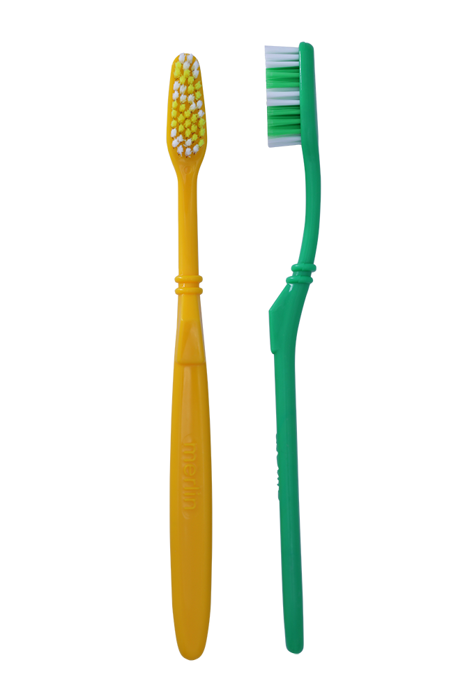 Regular Season Toothbrush